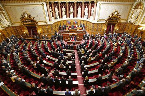 Le Sénat A Adopté La Loi Macron Après 130h De Débat