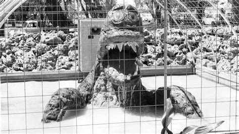 Iconic Sa Attraction Bertha The Bunyip Returns To Operation Flood