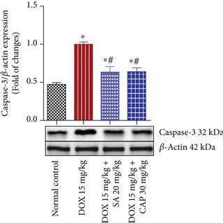 Effect Of Sinapic Acid Sa On The Levels Of Proinflammatory Cytokines