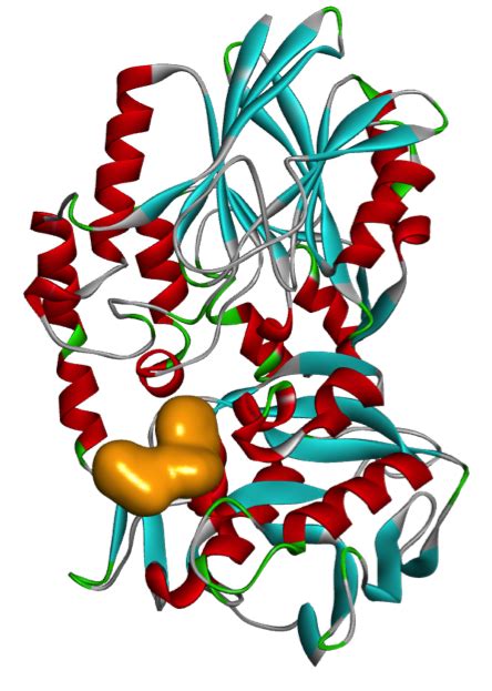 cd  ray crystallography assay development domainex