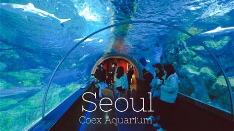 [Seoul Walk] Coex Aquarium | korea aquarium 🇰🇷 - YouTube