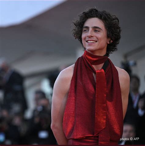 Timothée Chalamet Gay Lgbtq Ecrivain