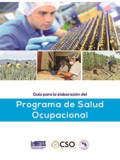 Guía para la elaboración del Programa de Salud Ocupacional gu 237 a