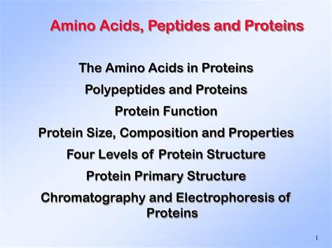 Ppt Amino Acids Peptides And Proteins Powerpoint Presentation Free