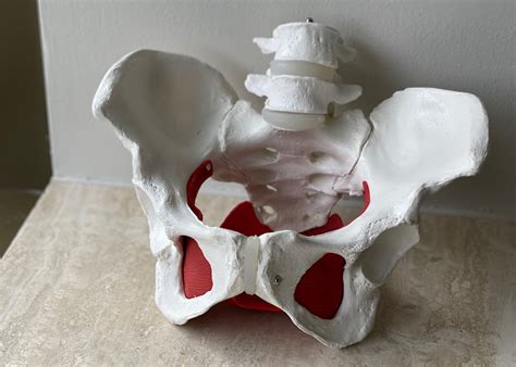 truth  kegels thrive