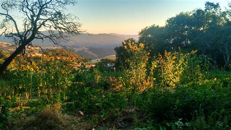 Happy Day Farms - Great Success!