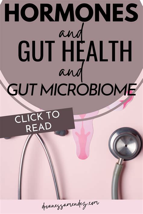 Unlocking The Secrets Of Female Hormones And Gut Health Through The Gut