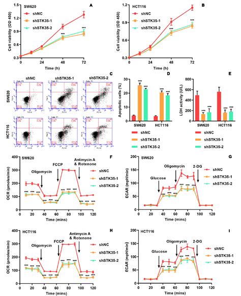 Figure From Stk Is Ubiquitinated By Nedd L And Promotes Glycolysis