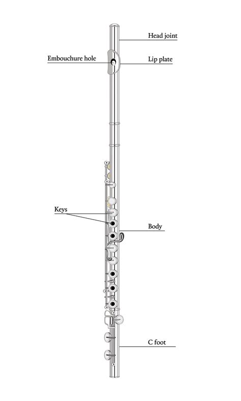 Parts Of A Flute Diagram