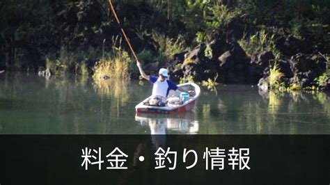 料金 釣り情報｜精進湖｜釣舟 湖畔荘