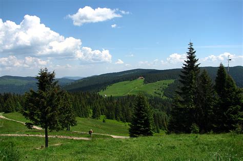 Zielony szlak w Gorcach zamknięty Portal Górski i Turystyczny Góry