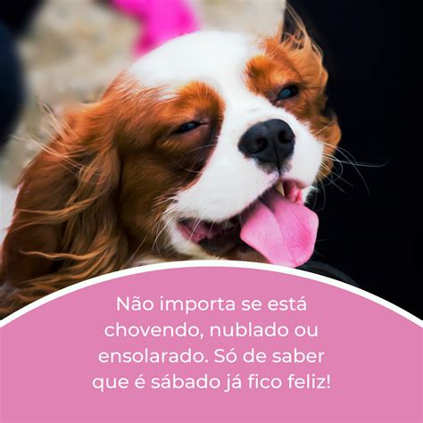 40 mensagens de feliz sábado para animar o nosso fim de semana