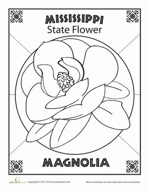 Mississippi State Flower: Magnolia Coloring Page