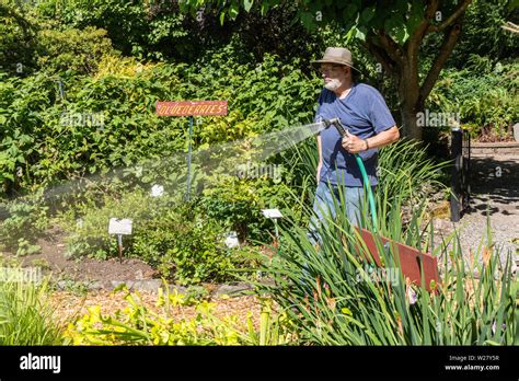 Personne Arroser Le Jardin Banque De Photographies Et Dimages Haute