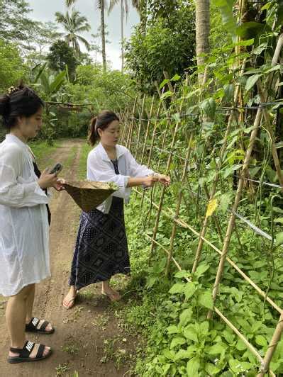 From Ubud Balinese Cooking Class At An Organic Farm Getyourguide