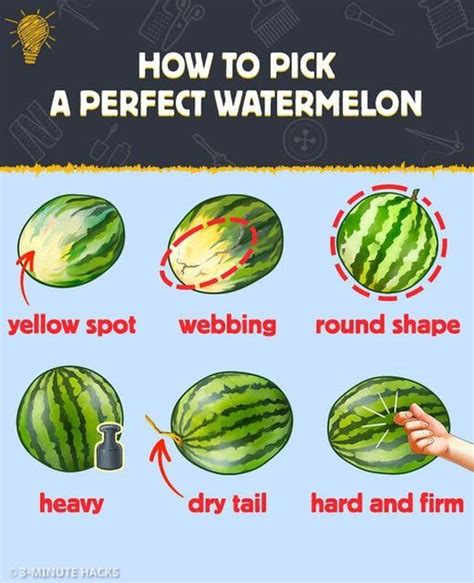 Bright Side On Instagram How To Pick A Perfect Watermelon