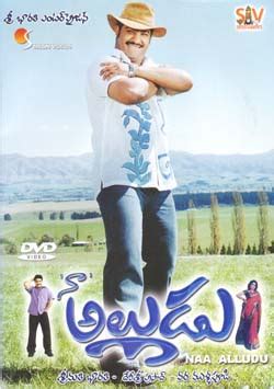 description naa alludu