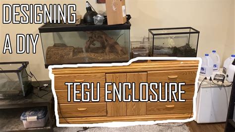 Building A DIY Argentine Tegu Enclosure DAY 1 The Design Process