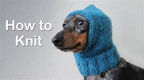 How To Knit An Easy Dog Hat Knitting Patterns Free Dog Dog Hat Dog