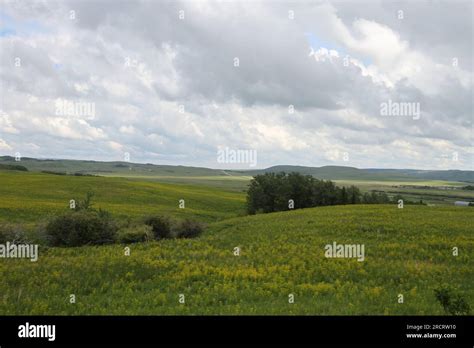 Glacier National Park, Browning, Montana, USA Stock Photo - Alamy