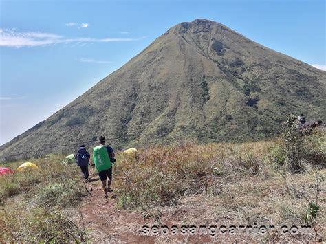 Pendakian Gunung Bekel Via Jolotundo Sepasangcarrier