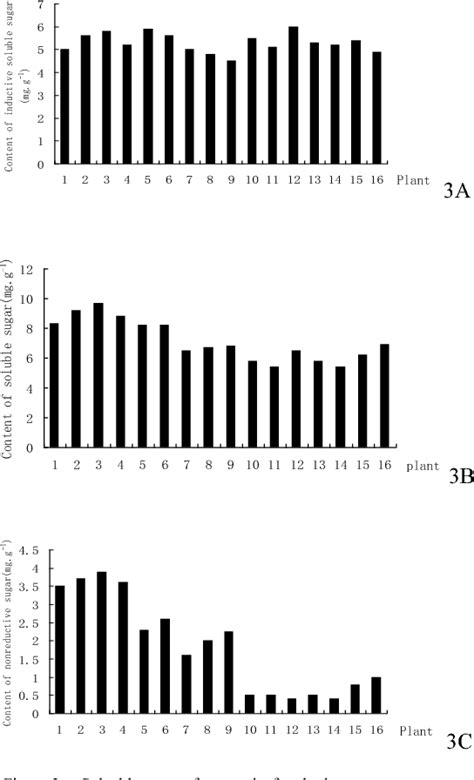 Figure 3 from Analysis of Cell-Wall Invertase Function in Leaves of ...