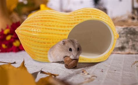 Guador Kleintierversteck Hamster Haus Hamster Höhle Hamsterversteck