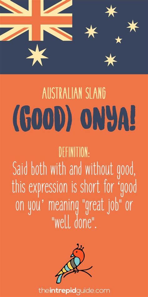 Australian Slang 31 Hilarious Australian Expressions You Should Use