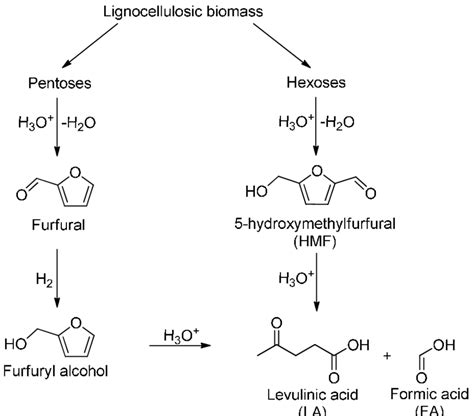 Conversion Of Cellulose And Hemicellulose Into Levulinic Acid Source