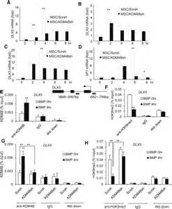 Histone Demethylases Kdm4b And Kdm6b Promotes Osteogenic