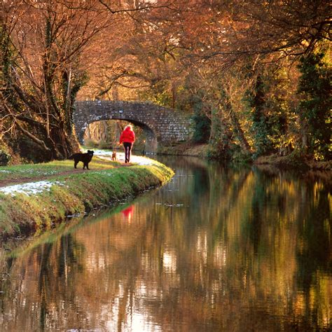 √ Brecon Canal Walk