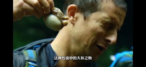 Celebrities Participating In The Wild Reality Show Were Forced To Drink Pee Scenes And Couldnt