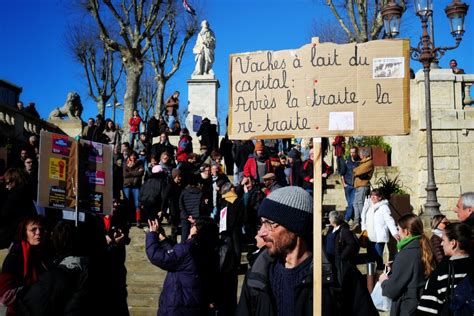 Convergence anticapitaliste et écologique RETOUR SUR LES MANIFS DU 31