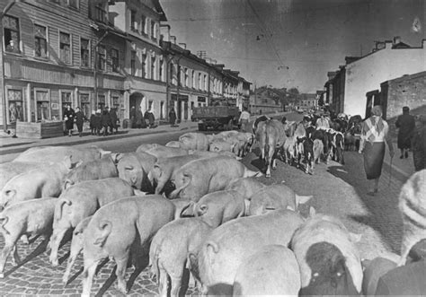 The Siege Of Leningrad Through Rare Historical Photos Rare