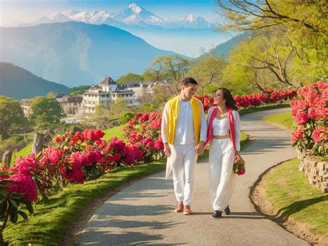 Love In The Hills Top Romantic Spots In Shimla For Dream Honeymoon Getaway