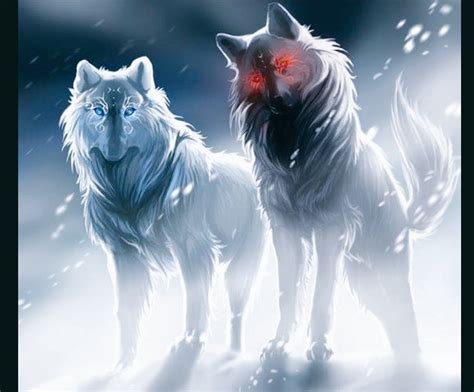 Albino Wolf Red Eyes