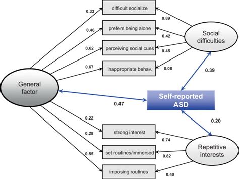 Bifactor Model With Item Loadings And Correlations Between Factors And