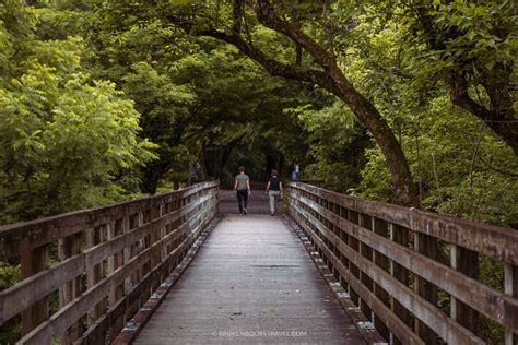 Everything You Need to Know to Bike the Virginia Creeper Trail - Broken ...