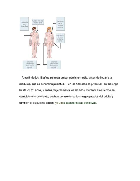 Ciclos De Vida Humana PDF