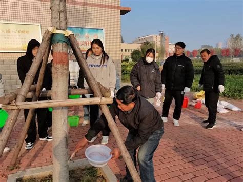 【农业工程学院】树木涂白穿“新衣” 农工学子练技能 【院部动态】