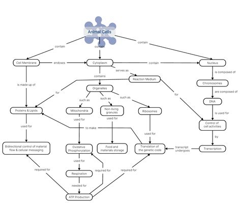 20 Creative Concept Map Examples For Students Boardmix