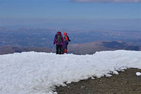 Paseo Con Raquetas De Nieve Por Sierra Nevada Civitatis