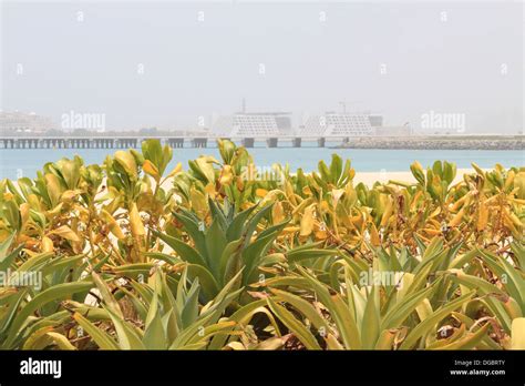 Palm Jumeirah viewed from Jumeirah beach Stock Photo - Alamy