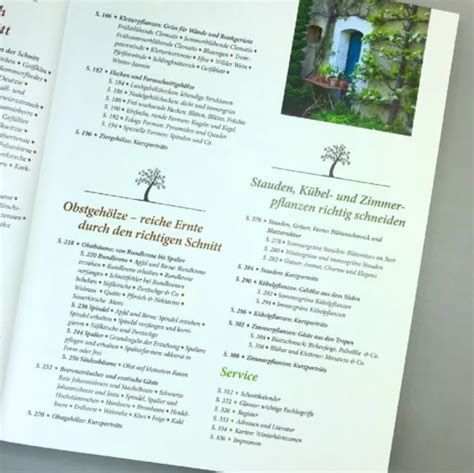 Pflanzenschnitt DAS GROSSE GU PRAXISHANDBUCH Günstig online kaufen