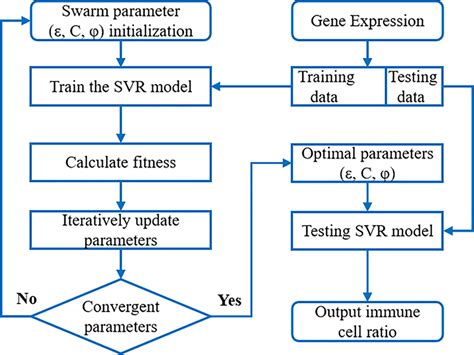 The Flow Chart Of Pso Svr Algorithm Svr Model Was Embedded Into The Download Scientific