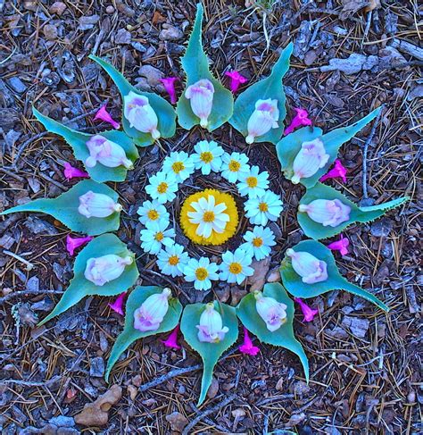 Andy Goldsworthy Flowers