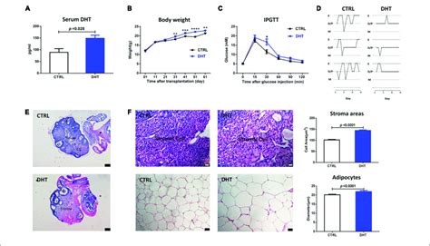 PCOS Like Characteristics In DHT Treated Mice A Serum DHT Level