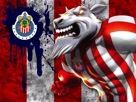 Soccer Chivas Hd Wallpaper Pxfuel