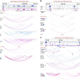 Fithichip Recovers A Large Fraction Of Hi C Pchic And Chia Pet Loop