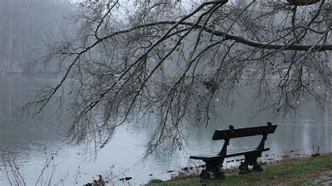 Quiet Nature Stock Video Footage for Free Download